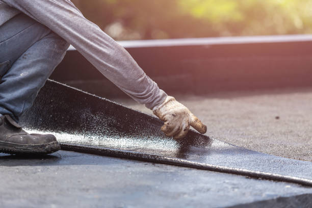 Professional Wet Basement Repair technician working in Bangor, MI